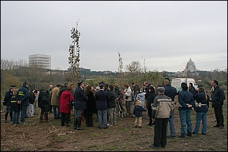 Anteprima - Clicca per ingrandire